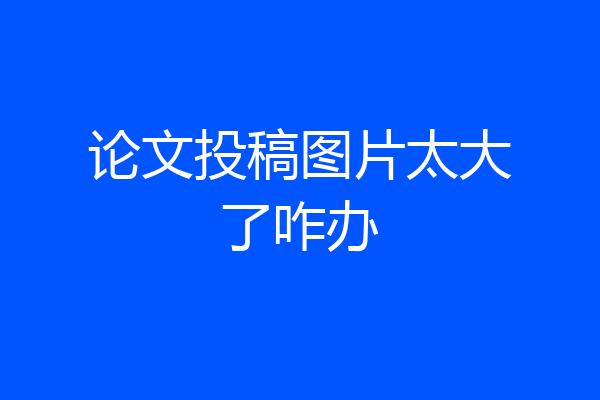 论文投稿图片太大了咋办