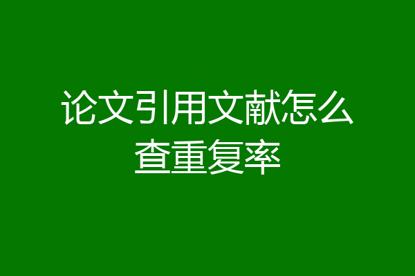 论文引用文献怎么查重复率