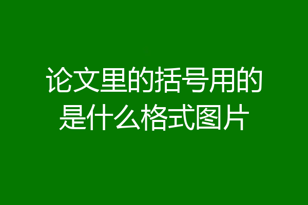 论文里的括号用的是什么格式图片
