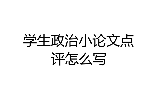 学生政治小论文点评怎么写