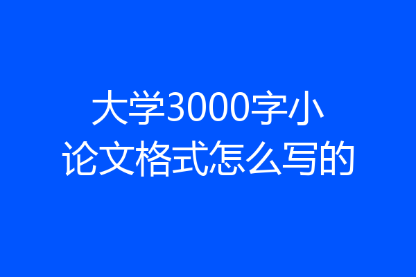 大学3000字小论文格式怎么写的