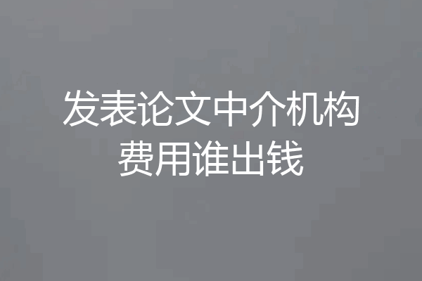发表论文中介机构费用谁出钱