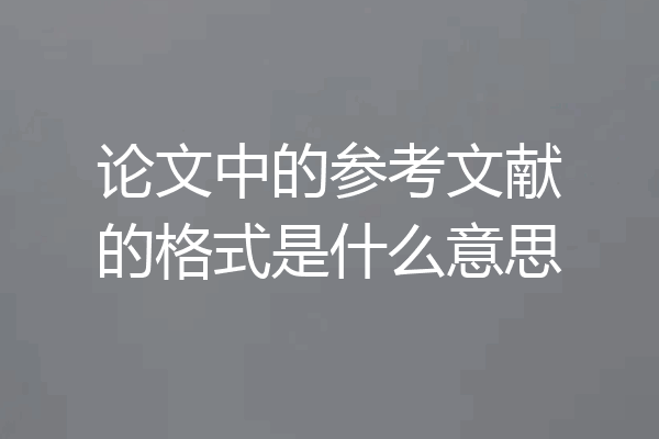 论文中的参考文献的格式是什么意思