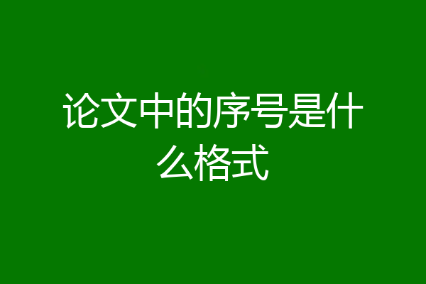 论文中的序号是什么格式
