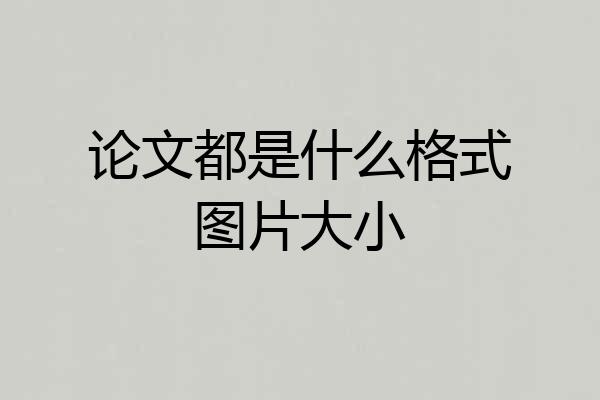 论文都是什么格式图片大小