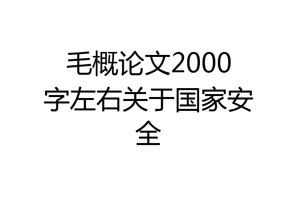 毛概论文2000字左右关于国家安全