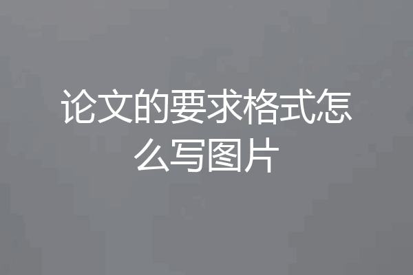 论文的要求格式怎么写图片