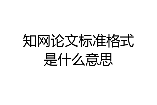 知网论文标准格式是什么意思