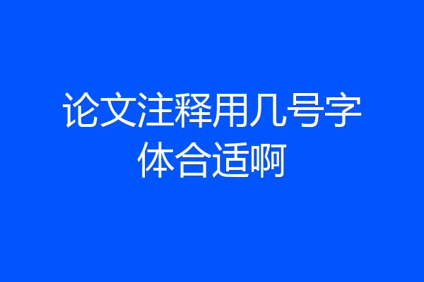 论文注释用几号字体合适啊