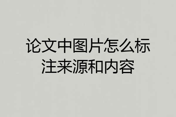 论文中图片怎么标注来源和内容