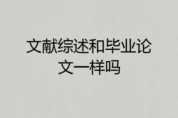 文献综述和毕业论文一样吗