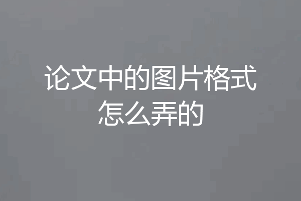 论文中的图片格式怎么弄的