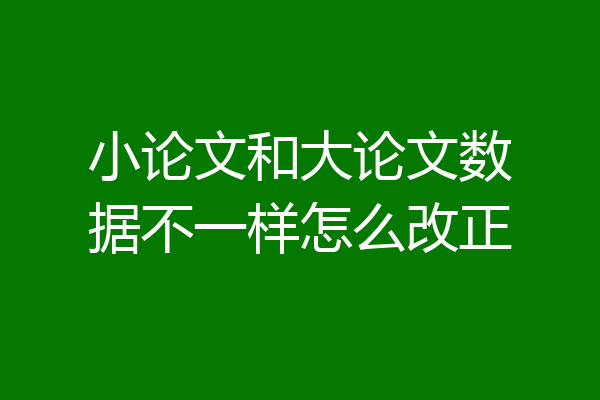 小论文和大论文数据不一样怎么改正