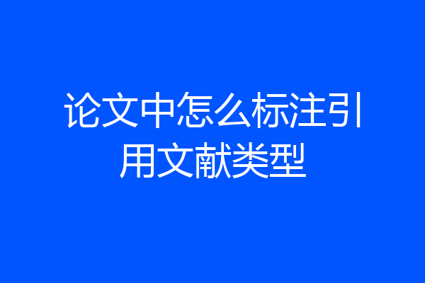 论文中怎么标注引用文献类型