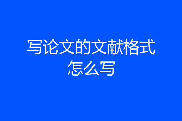 写论文的文献格式怎么写