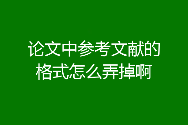 论文中参考文献的格式怎么弄掉啊