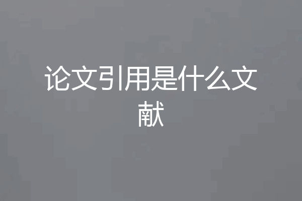 论文引用是什么文献