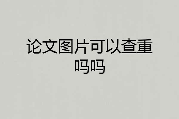 论文图片可以查重吗吗