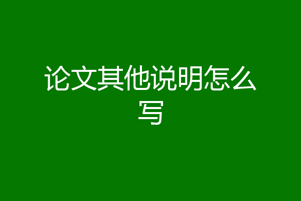 论文其他说明怎么写