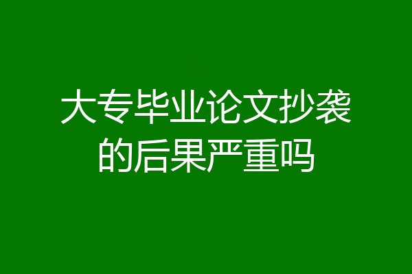 大专毕业论文抄袭的后果严重吗