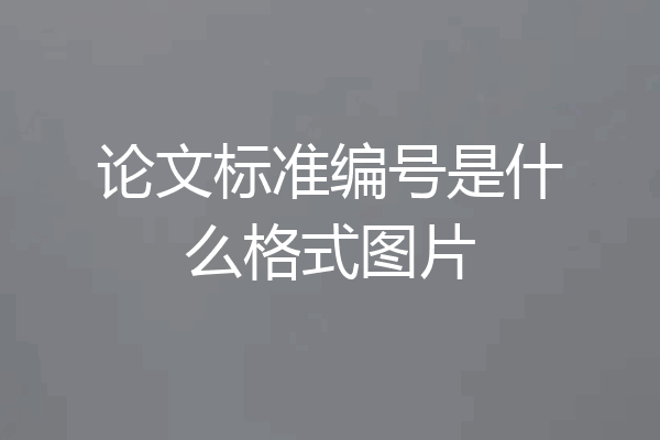 论文标准编号是什么格式图片