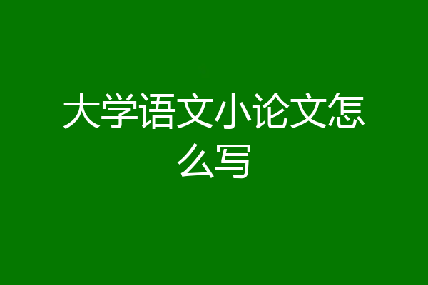 大学语文小论文怎么写