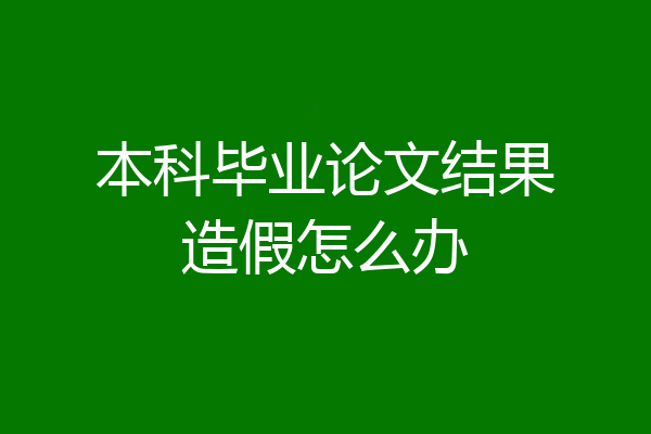 本科毕业论文结果造假怎么办