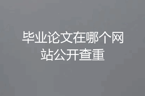 毕业论文在哪个网站公开查重