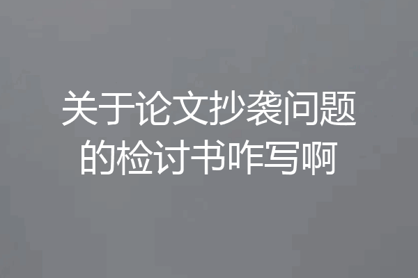 关于论文抄袭问题的检讨书咋写啊