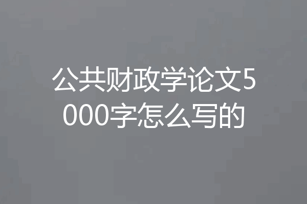 公共财政学论文5000字怎么写的