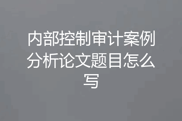 内部控制审计案例分析论文题目怎么写