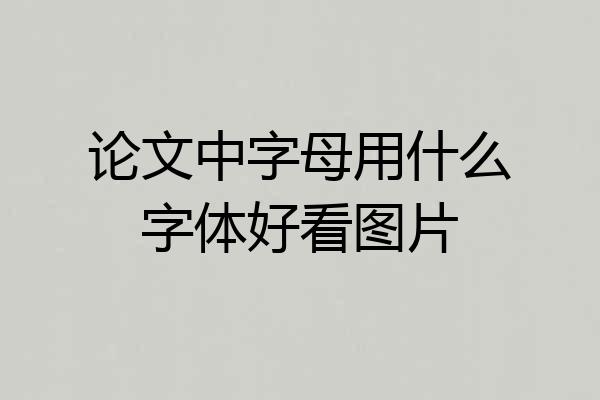 论文中字母用什么字体好看图片