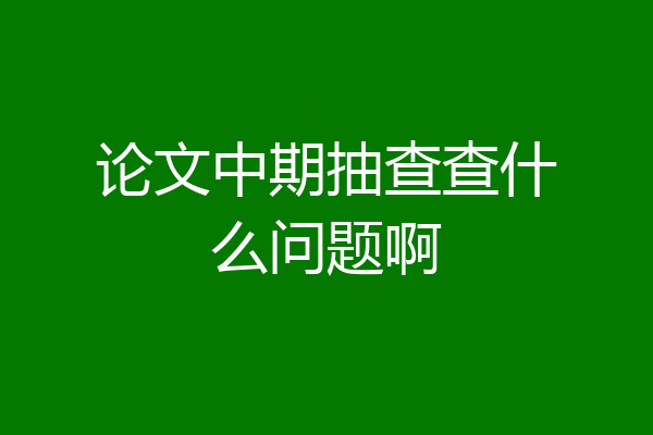 论文中期抽查查什么问题啊