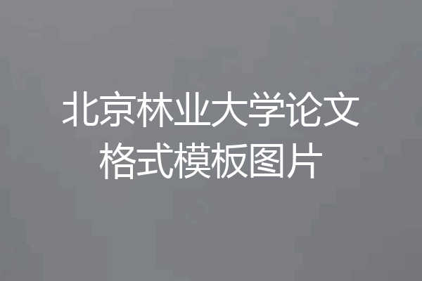 北京林业大学论文格式模板图片