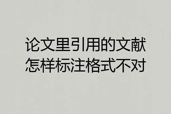 论文里引用的文献怎样标注格式不对