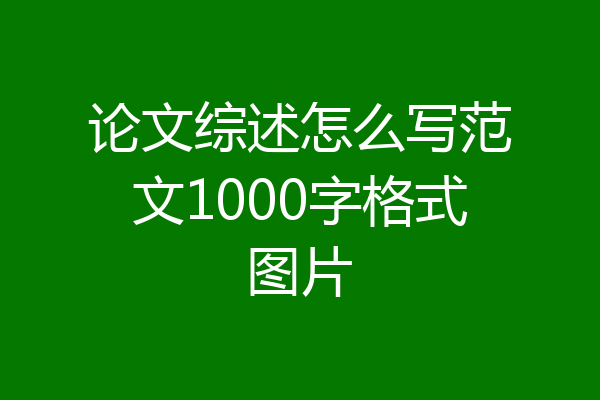 论文综述怎么写范文1000字格式图片