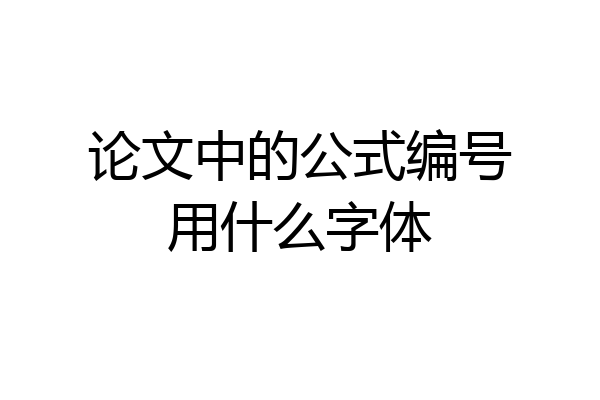 论文中的公式编号用什么字体