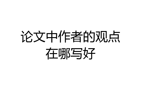论文中作者的观点在哪写好