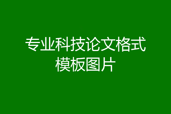 专业科技论文格式模板图片
