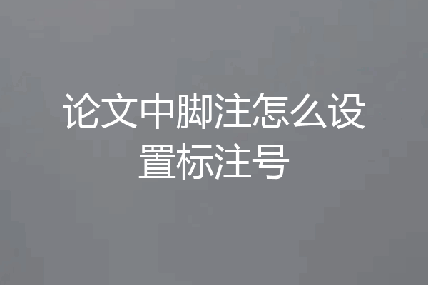 论文中脚注怎么设置标注号