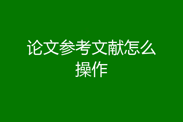 论文参考文献怎么操作