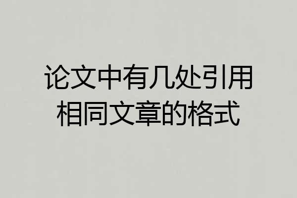论文中有几处引用相同文章的格式