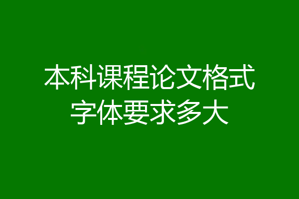 本科课程论文格式字体要求多大