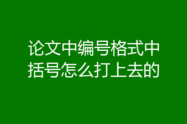 论文中编号格式中括号怎么打上去的