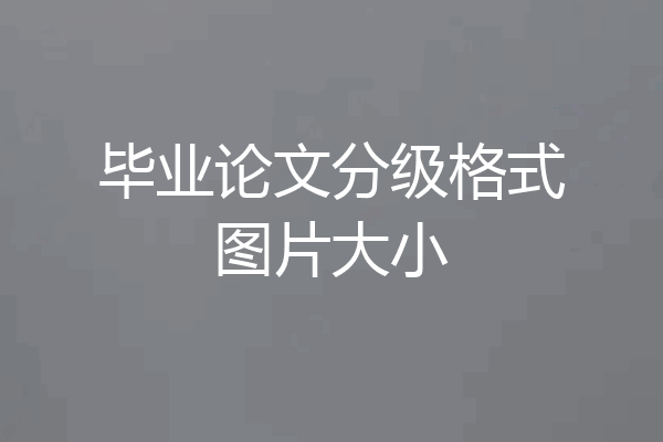 毕业论文分级格式图片大小