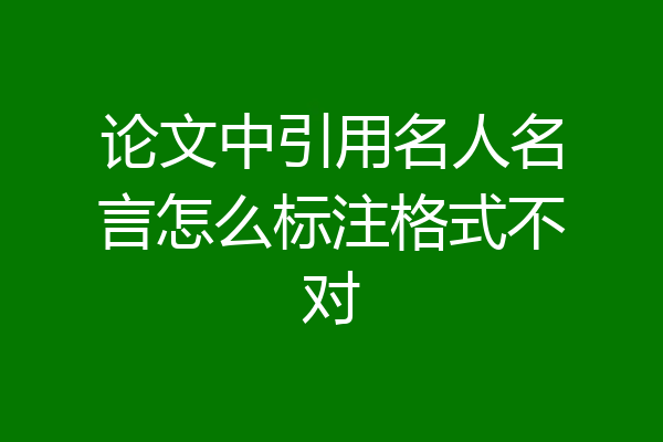 论文中引用名人名言怎么标注格式不对