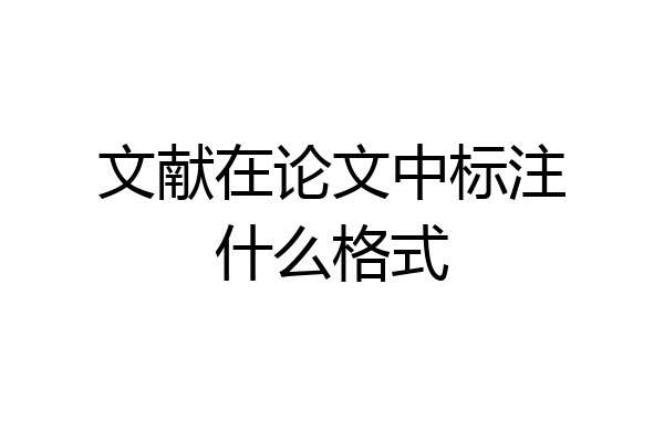 文献在论文中标注什么格式