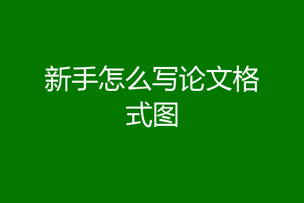 新手怎么写论文格式图