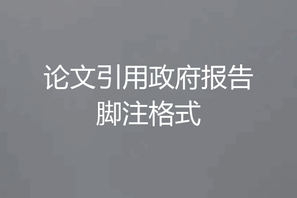 论文引用政府报告脚注格式