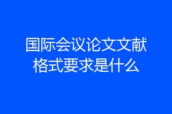 国际会议论文文献格式要求是什么